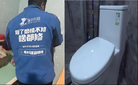 报价156元,实收1780元! 啄木鸟维修“坑哭”女子,投诉量一年暴涨69%,董事长“明白消费”成笑话